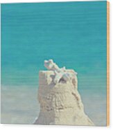 Sand Castle With Coral Against Calm Turquoise Sea 2 Wood Print