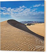 Sand Dune And Pismo Beach Wood Print