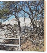 Sand Dune With Trees Wood Print