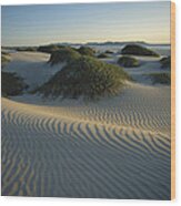 Sand Dunes Magdalena Island Baja Wood Print