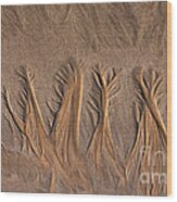 Sand Forest Wood Print