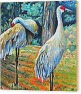 Sandhill Cranes At Twilight Wood Print