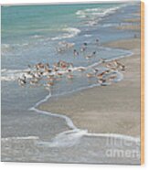 Sandpipers On The Beach Wood Print