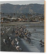 Santa Barbara Beach Crowd Wood Print