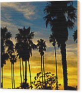 Santa Barbara Sunset Wood Print