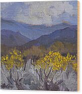 Santa Rosa Mountains And Desert Marigolds Wood Print