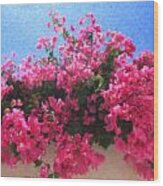 Santorini Flowers Grk1113 Wood Print