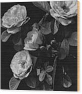 Sarah Van Fleet Variety Of Roses Wood Print