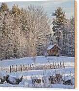 Sauna Shed Wood Print