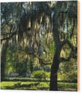 Savannah Sunshine Wood Print