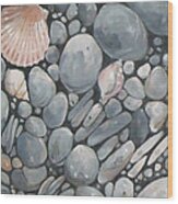 Scallop Shell And Black Stones Wood Print