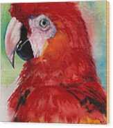 Scarlet Macaw Wood Print