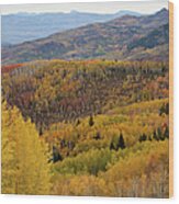 Scenic Overlook With Fall Colors Wood Print