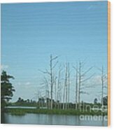 Scenic Swamp Cypress Trees Wood Print