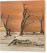 Scenic View At Sossusvlei Wood Print