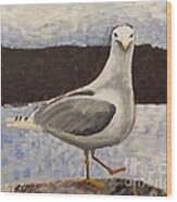 Scottish Seagull Wood Print