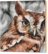 Screech Owl Photo Art Wood Print