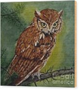 Screech Owl Wood Print