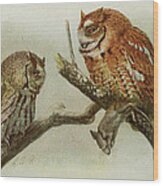Screech Owls Wood Print