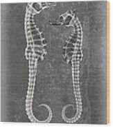 Sea Horses Sea Shell X-ray Art Wood Print