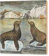 Sea Lions Wood Print