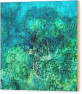 Sea Turtle In Flight - Maui - Hawaii Wood Print