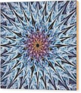 Sea Urchin Wood Print