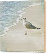 Marco Island Seagull Wood Print