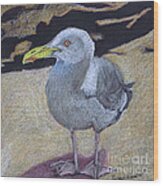 Seagull On The Rocks Wood Print