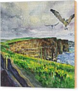 Seagulls At The Cliffs Of Moher Wood Print