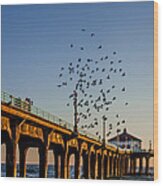 Seagulls At The Pier Wood Print