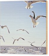 Seagulls Passing Above The Sea Wood Print