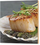 Seared Scallops Wood Print