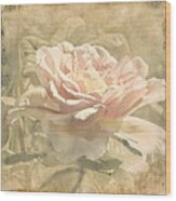 Secondhand Rose Wood Print