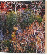 Sedona Fall Wood Print