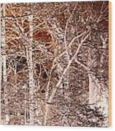 Sepia Forest In Winter Wood Print