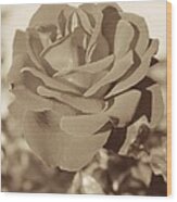 Sepia Rose Wood Print
