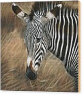 Serengeti Zebra Wood Print