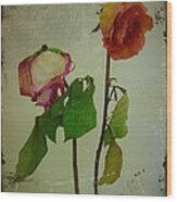 Shabby Old Roses Wood Print