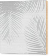 Shadow Palm Leaves Wood Print