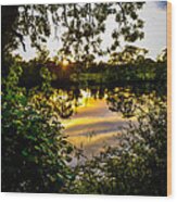 Shannon River Sunset At Roosky Wood Print