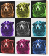 Shetland Sheepdog Dog Art 9973 - V1 - M Wood Print