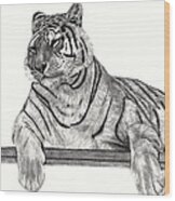 Siberian Tiger Wood Print