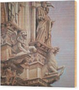 Siena Cathedral Wood Print