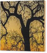 Silhouette Oak Wood Print