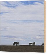 Silhouette Of Horses In A Field Wood Print