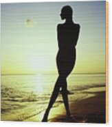 Silhouette Of Marisa Berenson Nude Wood Print