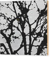 Silhouette Of Winter Tree Wood Print