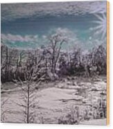 Silver Winter Ice Wood Print