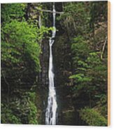 Silverthread Falls Wood Print